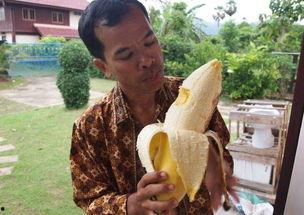 国产成人大香蕉