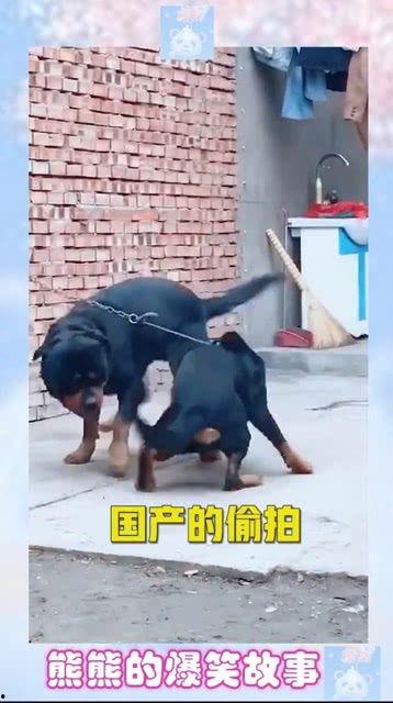 国产拍偷,揭秘镜头背后的偷拍艺术  第3张