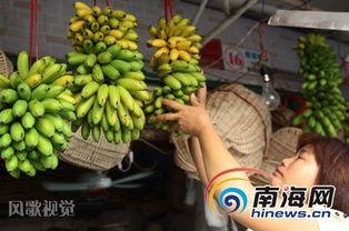 大香蕉之国产,大香蕉之国的繁荣与传奇  第3张